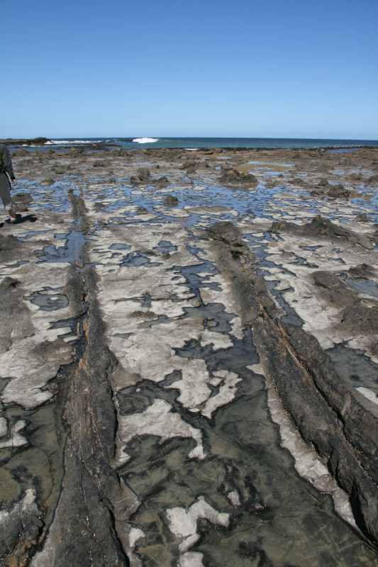 Nieuw-Zeeland 2011 - 1812